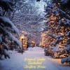 Holiday Christmas Music Playlist、Top Christmas Hits Playlist、Christmas Music Experts - Jingle Bells Under the Northern Lights