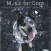 Pet Music Therapy、Dog Music Dreams、Relaxmydog - Swimming in the Lake