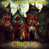 AViVA、Mblue、Shiah Maisel - CIRCUS