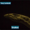 Tony Lambo66 - Snakes (Instrumental Version)