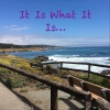 Dodie Stevens、Stephanie Stevens - It Is What It Is