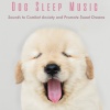 Pet Music Therapy、Dog Music Dreams、Relaxmydog - Dreamland