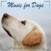 Relaxmydog、Dog Music Dreams、Pet Music Therapy - Wagging Tail