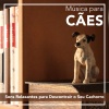 Pet Music Therapy、Dog Music Dreams、Relax My Puppy、Relaxmydog - Na Praia