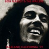 Bob Marley & The Wailers - Positive Vibration