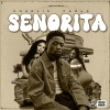 Aye Charlie、Paola - Senorita (feat. Paola)