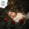 My Sweet Baby - The Sleepy Lily