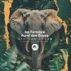 Ias Ferndale、Aurel Den Bossa、M-Sol DEEP - Famemba