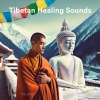Sat-Chit - Tibetan Meditation Flute