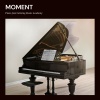 Piano Jazz Calming Music Academy - Healing Harmonies
