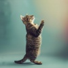 Música instrumental fácil de escuchar、Melodía calmante para seres、Relajación animal - Melodía Para Amigos Peludos