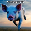 Billy Blade - Swinging a Pig