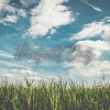 Nhân Ar、Mk 12-D - Perfect Day