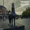 Iron Harmony M2 - The bard in Leeuwarden