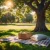 Calma californiana、Música para el Alma Relajada、Ecos Relajantes de la Naturaleza - Melodías Relajantes De Retiro Tranquilo