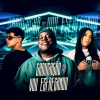 Mc Toy、MC Morena、Dj Rod - Catucadão Vs Vou Esfregando (Explicit)
