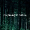 Essential Nature Sounds、Lively Nature Sounds、Natural Rain - Ocean Waves for a Tranquil Night