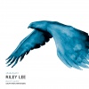 Riley Lee - At One with the Motion
