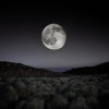 Dhyana Uno、Cultura musical para dormir、Música para que los niños duerman - El Susurro Calmante De La Noche