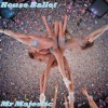 Mr Majestic - House Ballet