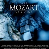 The Oscar's Orchestra - Le nozze di Figaro, K. 492, Act I: 