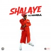 Dangbana Republik、Bella Shmurda - Shalaye (Explicit)