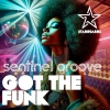 Sentinel Groove - Got the Funk (Extended Mix)