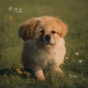 沈波 - 想什么