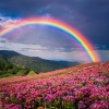 Más allá del tiempo、La red acordes、MUY BIEN - Melodías Inspiradoras De Corazón