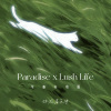 你在暮色中 - Paradise x Lush Life (节奏心动版)(DJ版)