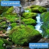 Tony Lambo66 - Gladius In Stone