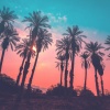 Shiloh Dynasty、Jazz Brar - I'm Drunk And Confused