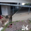MDMJ - Warrior Cat