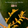 Sergio Asai Garcia - You Should Have Gone With Him (Explicit)