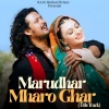 Shankar Mahadevan、Raja Hasan、roop kumar rathod、Swaroop Khan、ravindra upadhyay - Marudhar Mharo Ghar (Title Track)