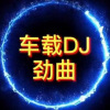 DJ杜心军、DJ蕊蕊 - 欢乐中国年 (DJ舞曲 remix)