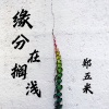郑五米 - 缘分在搁浅