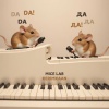 KERIMKAAN - Mice Lab (Radio Edit)
