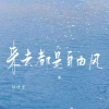 陆十贰 - 来去都是自由风