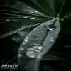 Chris Zippel、Rencause - Shikasta