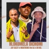 Dr Nel、Nkgetheng the Dj、Jay Eazzy - Hlokomela Dichomi (feat. Dr Nel & Nkgetheng the dj)