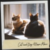 Música Relajante Para Leer、Brain Timbre、Cat Music - Harmony in Paws