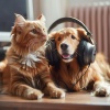 Slow Sex Music、Music for Pets Beats、Music for Pets Ambience - Energetic Pet Beats