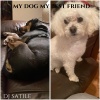 Dj Satile - my dog my best friend