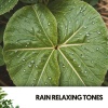 Solfeggio Frequencies 528Hz、Meditation For Healing、Spa Treatment - Tranquil Drops of Serenity