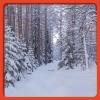 Christmas Songs - Merry Christmas Baby