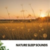 Música Relajante Para Leer、Sleep Songs with Nature Sounds、Para leer - Moonlit Whispers