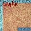 Hunter the Gatherer - holy fire i