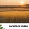 Música Relajante Para Leer、Work Music、Musica para Concentrarse - Whispering Winds: Harmonies of Peace