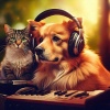 Traditional Chinese Music Academy、Sleeping Pet Music、Soft Pet Music - Calming Companion Music